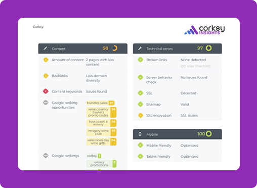 corksy insights website audit