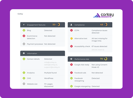corksy insights website audit